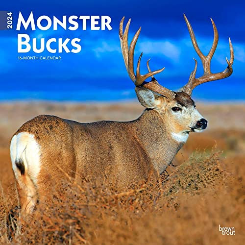 Monster Bucks 2024 Square