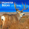 Monster Bucks 2024 Square