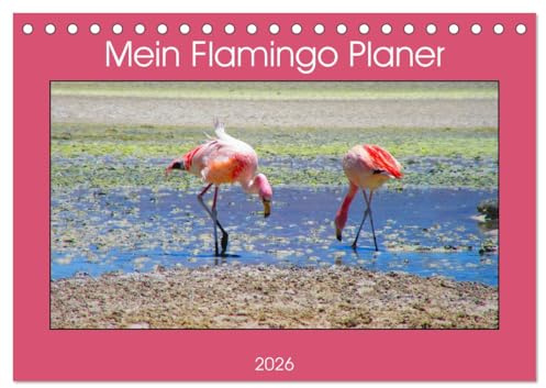Mein Flamingo Planer (Tischkalender 2026 DIN A5 quer), CALVENDO Monatskalender: Das perfekte Geschenk für alle Flamingo Fans - Kalender Planer und Organizer (CALVENDO Tiere)