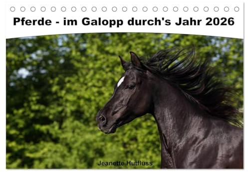 Pferde - im Galopp durch's Jahr 2026 (Tischkalender 2026 DIN A5 quer), CALVENDO Monatskalender: Jeden Monat eine wunderschöne Pferderasse (CALVENDO Tiere)