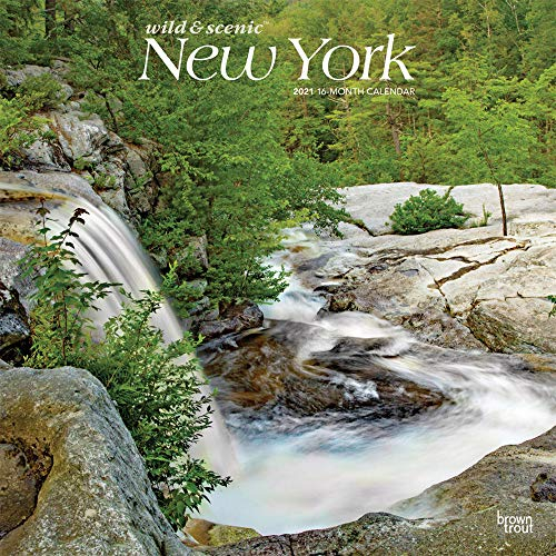 Wild & Scenic New York 2021 Calendar