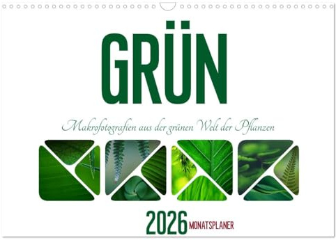 Grün Makrofotografien aus der grünen Welt der Pflanzen als Monatsplaner (Wandkalender 2026 DIN A3 quer), CALVENDO Monatskalender: Die Farbe Gün steht ... Klarheit und Frische. (CALVENDO Natur)