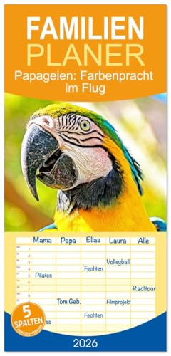 Familienplaner 2026 - Papageien: Farbenpracht im Flug mit 5 Spalten (Wandkalender, 21 cm x 45 cm), CALVENDO: Ara, Kea, oder Arakakadu: farbenprächtig und intelligent (CALVENDO Tiere)