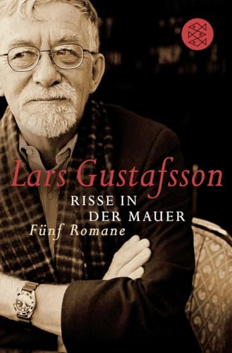Risse in der Mauer: Fünf Romane
