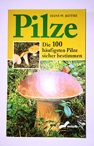 Pilze: Die 100 häufigsten Pilze sicher bestimmen