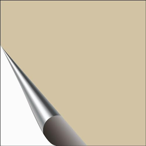 200 adesivi per piastrelle opachi, colore beige, 10 x 10 cm, piastrelle adesive da parete, piastrelle adesive per cucina, bagno, WC, bordi, per ristrutturare gli specchietti