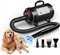 Blanlody Asciugacapelli per Cani Blower Molto Silenzioso, 5,2 CV/3800 W, velocità Regolabile, Ventilatore per la Cura del Cane con 4 Diversi ugelli, Tubo Elastico