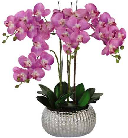 GreenBrokers Elegant Large Six Stem Butterfly Purple Real Touch Artificial Potted Orchid (65cm) In Decorative Silver Ceramic Pot