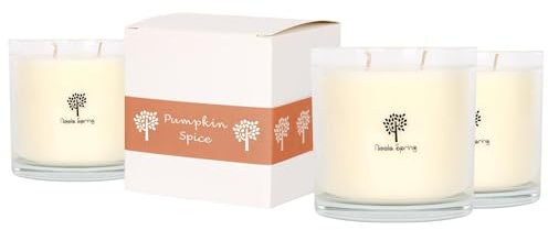Nicola Spring Soy Wax Scented Candles 400g - Pack of 3 – Pumpkin Spice Fragrance – Double Wick 45 Hour Burn Eco-Friendly Large Jar Candles for Relaxation, Aromatherapy, Home Décor & Gifting