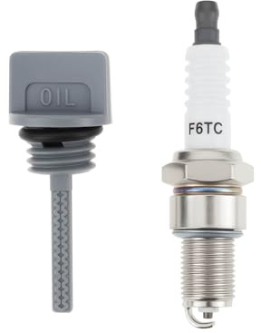 Briny River Lawn Mower Gasoline Generator Oil Dipstick Kit 15600-Z0T-810 Compatible with Honda BPR5ES GX120 GX160 GX200 with F7TC Spark Plug