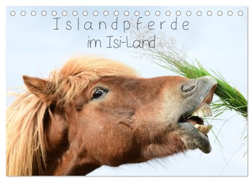 Islandpferde im Isi-Land (Tischkalender 2026 DIN A5 quer), CALVENDO Monatskalender: Erleben Sie Islandpferde in ihrer natürlichen Umgebung und ganzen Schönheit (CALVENDO Tiere)