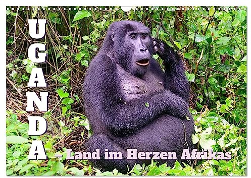 Uganda – Land im Herzen Afrikas (Wandkalender 2026 DIN A3 quer), CALVENDO Monatskalender: Uganda, ein Land mit einer herausragenden Natur und vielen Ethnien. (CALVENDO Natur)
