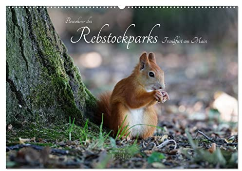 Bewohner des Rebstockparks Frankfurt am Main (Wandkalender 2026 DIN A2 quer), CALVENDO Monatskalender: Große und kleine Tiere im Rebstockpark in Frankfurt am Main (CALVENDO Tiere)