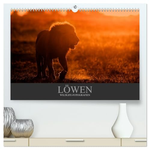 Löwen Wildlife-Fotografien (hochwertiger Premium Wandkalender 2026 DIN A2 quer), Kunstdruck in Hochglanz: Porträts der majestätischen Raubkatze (CALVENDO Tiere)