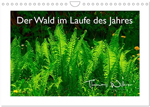 Der Wald im Laufe des Jahres (Wandkalender 2026 DIN A4 quer), CALVENDO Monatskalender: 12 Wunderbare Aufnahmen zeigen den Naturraum Wald in allen ... von Thomas Willerer. (CALVENDO Natur)