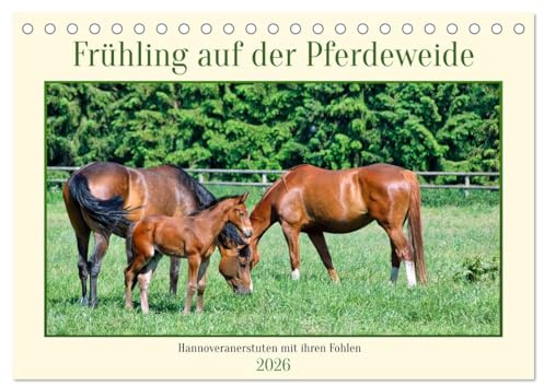 Frühling auf der Pferdeweide (Tischkalender 2026 DIN A5 quer), CALVENDO Monatskalender: Die eleganten Hannoveranerstuten präsentieren hier stolz ihre Jungtiere (CALVENDO Tiere)