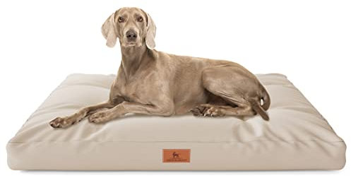 Knuffelwuff Hundekissen Gatsby aus Oxford-Gewebe 110 x 89cm Beige - rutschfeste Unterboden - leicht zu reinigen - für große, mittelgroße und kleine Hunde