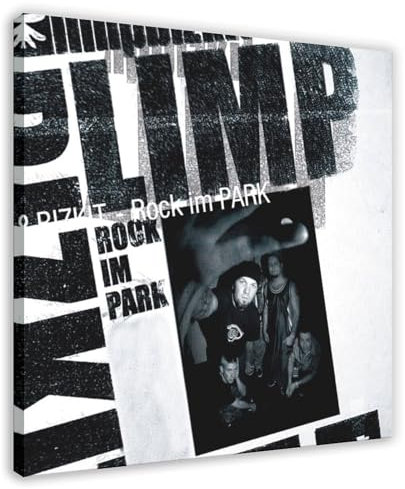 YVNESAQ Limp Bizkit Rock Im Park Album-Poster, Leinwand-Poster, Schlafzimmer-Dekor, Sportlandschaft, Büro, Raumdekoration, Geschenk, Rahmen-Stil, 50 x 50 cm