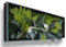 tableau végétal stabilisé EXOTIQUE sans entretien - tableau de plantes et décoration murale d'intérieur, plantes et fleurs éternels made in France