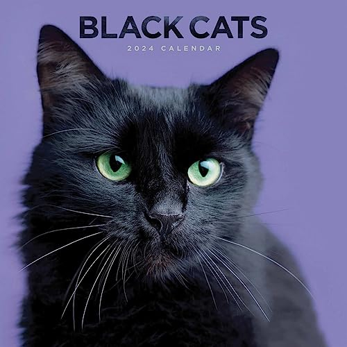 Black Cats – Schwarze Katzen 2024: Original Carousel-Kalender [Mehrsprachig] [Kalender] (Wall-Kalender)