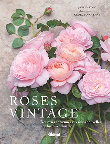 Roses vintage: Des roses anciennes aux roses nouvelles : une histoire illustrée