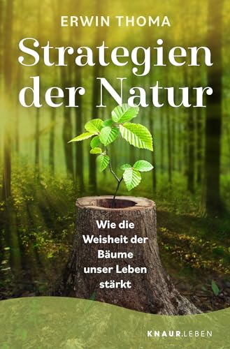 Strategien der Natur: Wie die Weisheit der Bäume unser Leben stärkt