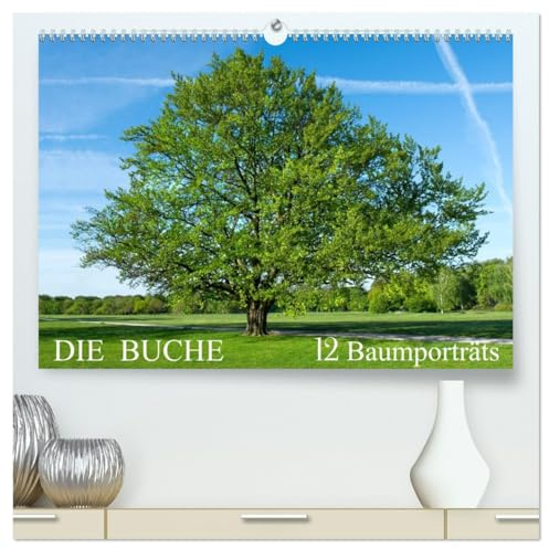 Die Buche: 12 Baumporträts (hochwertiger Premium Wandkalender 2026 DIN A2 quer), Kunstdruck in Hochglanz: Die Rotbuche im Wandel der Jahreszeiten (CALVENDO Natur)