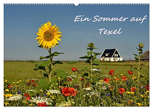 Ein Sommer auf Texel (Wandkalender 2026 DIN A2 quer), CALVENDO Monatskalender: Ein fotografischer Sommerspaziergang auf Texel (CALVENDO Orte)