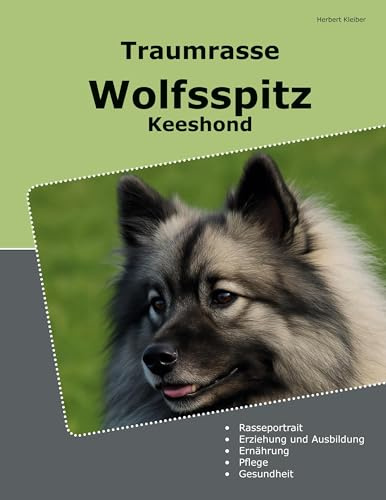 Traumrasse Wolfsspitz: Keeshond
