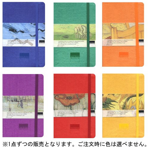 Moleskine Museum Memo Pockets: 3x6 colors (Moleskine Museums)
