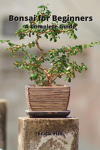 Bonsai for Beginners: A Complete Guide