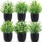 Laelfe 6 Piezas Plantas Artificiales Decorativas Pequeñas con Macetas Plantas de Plastico Mini Plantas Falsas para Casa Baño Oficina Decoración Interior