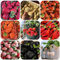erdbeer samen mehrjährig bio - obstbäume, balkongewächshäuser erdbeersamen erdbeeren samen,klettererdbeere kletterpflanzen winterhart, winterharte pflanzen für garten balkon pflanze, 1000pcs