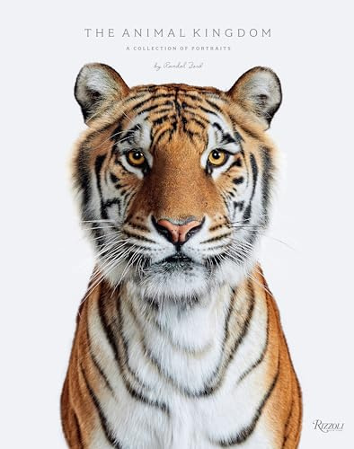 Animal Kingdom: A Collection on Portraits