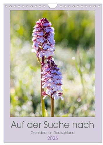Auf der Suche nach Orchideen in Deutschland (Wandkalender 2025 DIN A4 hoch), CALVENDO Monatskalender: Welche Orchideen sind in der eigenen Heimat finden (CALVENDO Natur)