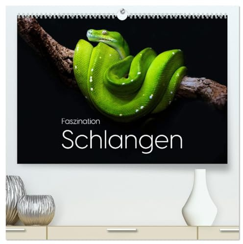 Faszination Schlangen (hochwertiger Premium Wandkalender 2026 DIN A2 quer), Kunstdruck in Hochglanz: Entdecke die einzigartige Welt der Schlangen. (CALVENDO Tiere)