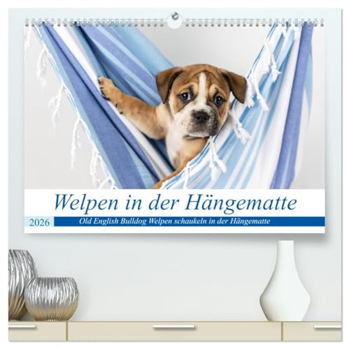 Welpen in der Hängematte (hochwertiger Premium Wandkalender 2026 DIN A2 quer), Kunstdruck in Hochglanz: Drollige Old English Bulldog Welpen in einer Hängematte (CALVENDO Tiere)