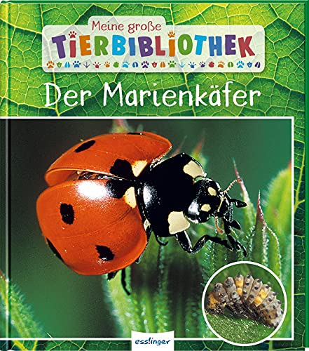 Meine große Tierbibliothek: Der Marienkäfer: Sachbuch für Vorschule & Grundschule