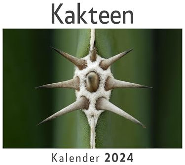 Kakteen (Wandkalender 2024, Kalender DIN A4 quer, Monatskalender im Querformat mit Kalendarium, Das perfekte Geschenk)