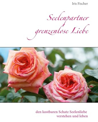 Seelenpartner grenzenlose Liebe: den kostbaren Schatz Seelenliebe verstehen und leben
