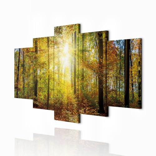 decomonkey - Impression sur Toile Foret 150x75 5 Pièces - Tableau Décoration Appartement Déco Salon Peinture sur Toile Arbres automne paysage forêt feuilles nature paysage plantes soleil