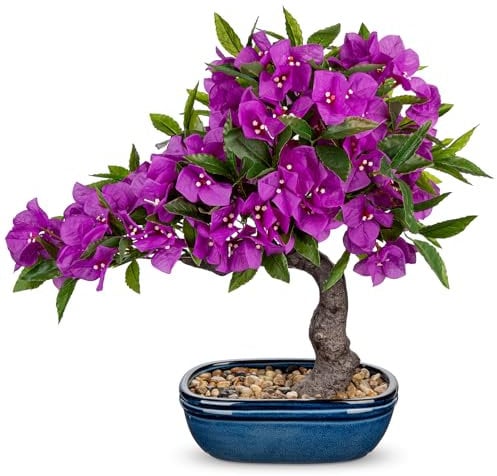 Arborus Künstliche Bougainvillea Frühling Kunstblumen Künstliche Bonsai im Keramik Topf Dekoblumen Künstliche Blumen Tisch Regal Balkon Fensterbank Deko im Wohnzimmer Schlafzimmer Badezimmer Deko