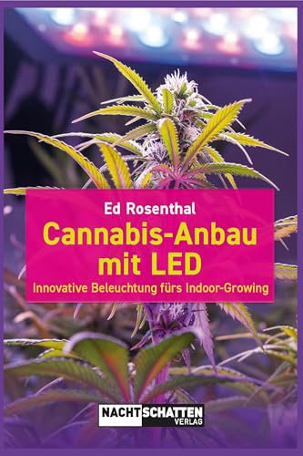 Cannabis-Anbau mit LED: Innovative Beleuchtung fürs Indoor-Growing