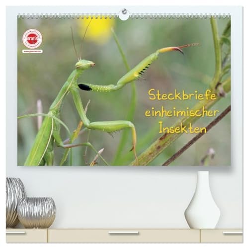 GEOclick Lernkalender: Insekten (hochwertiger Premium Wandkalender 2026 DIN A2 quer), Kunstdruck in Hochglanz: Heimische Insekten stellen sich mit ... Text selbst vor. (CALVENDO Tiere)