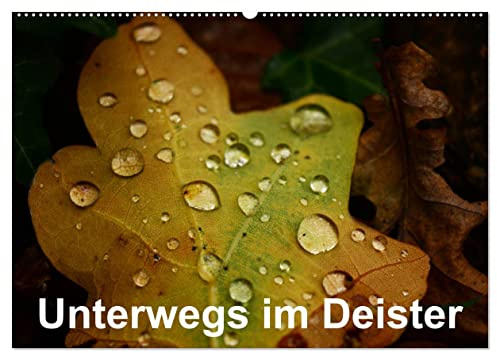Unterwegs im Deister (Wandkalender 2026 DIN A2 quer), CALVENDO Monatskalender: Ein kleiner Streifzug durch die Natur. (CALVENDO Natur)