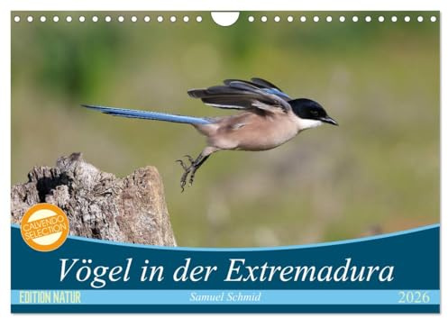 Vögel in der Extremadura (Wandkalender 2026 DIN A4 quer), CALVENDO Monatskalender: Die Extremadura - ein Vogelparadies (CALVENDO Tiere)
