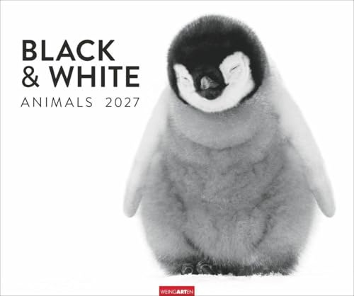 Black & White Animals 2027: Stars der Tierwelt in einem Fotokunst-Kalender! Großer Wandkalender für Tier-Freunde - hochwertige Aufnahmen in Schwarz-Weiß