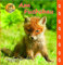Am Fuchsbau (Spannende Natur: Am Fuchsbau)