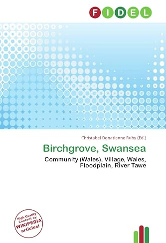 Birchgrove, Swansea: Community (Wales), Village, Wales, Floodplain, River Tawe