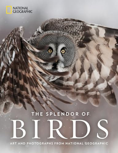 The Splendor of Birds: Art and Photography From National Geographic